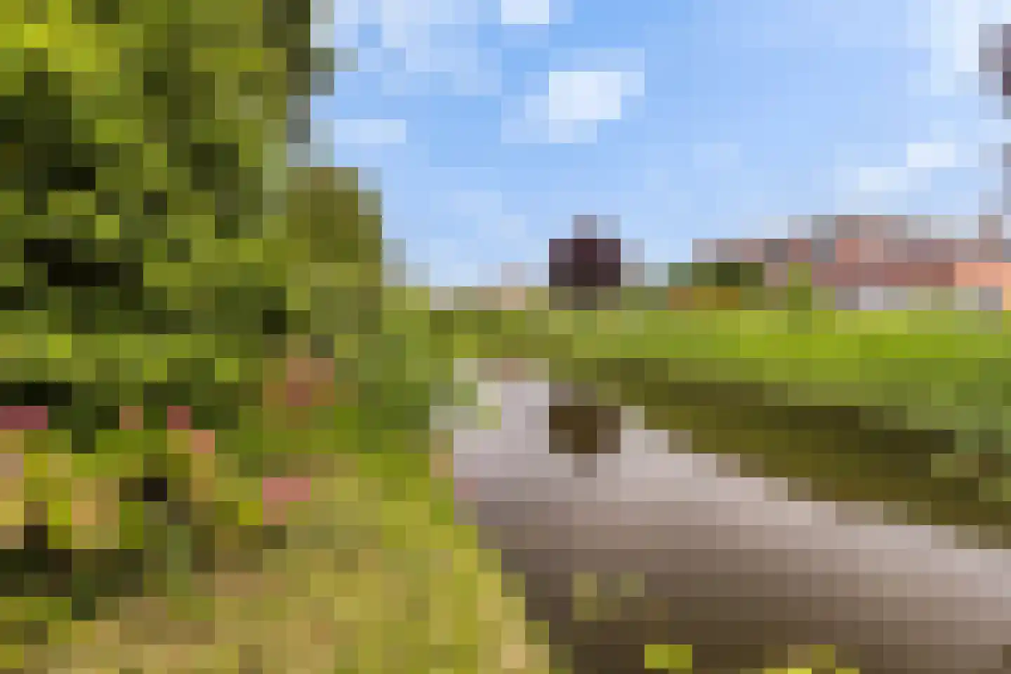 Driehoefijzersstraat 29 Zevenbergschen Hoek thumbnail 4