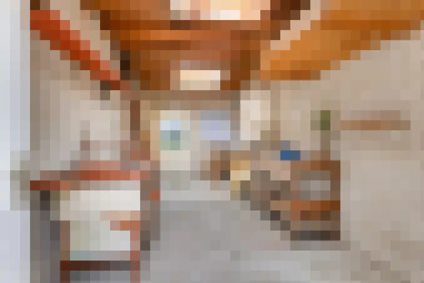 Driehoefijzersstraat 29 Zevenbergschen Hoek thumbnail 41