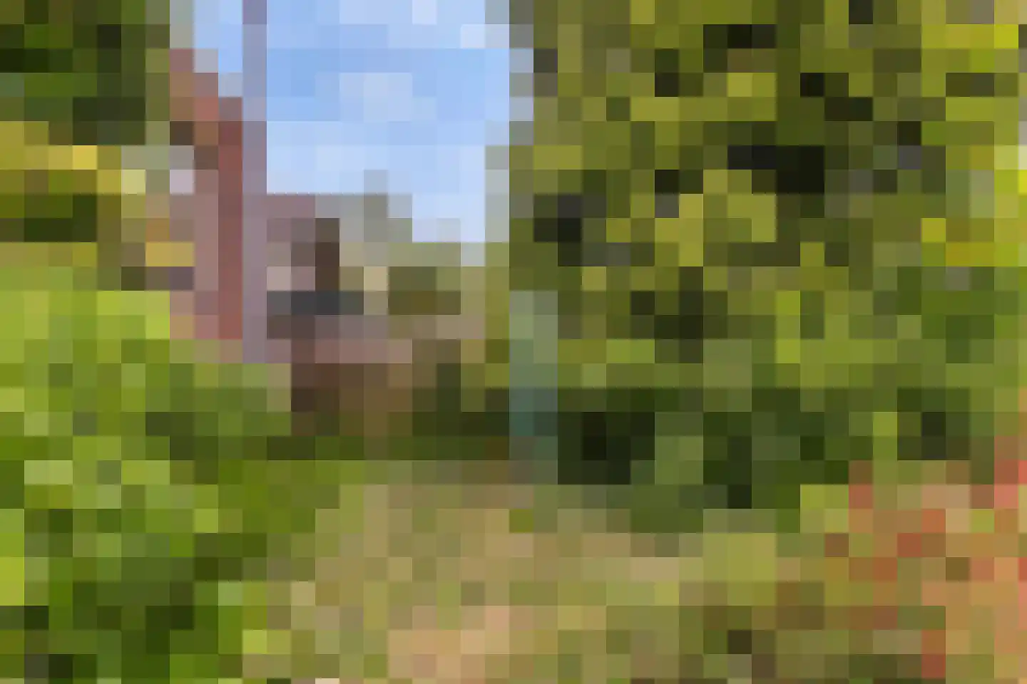 Driehoefijzersstraat 29 Zevenbergschen Hoek thumbnail 45