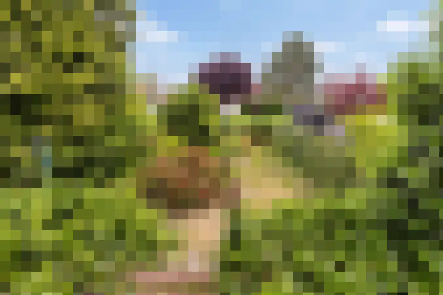 Driehoefijzersstraat 29 Zevenbergschen Hoek thumbnail 46