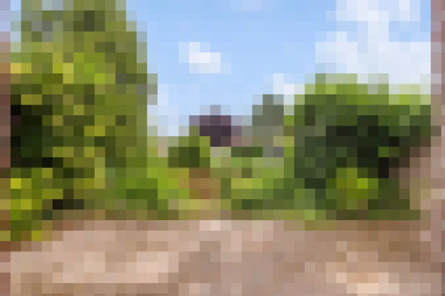 Driehoefijzersstraat 29 Zevenbergschen Hoek thumbnail 47