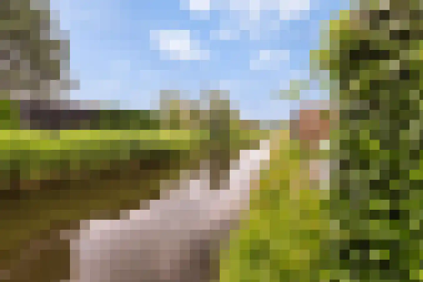Driehoefijzersstraat 29 Zevenbergschen Hoek thumbnail 48