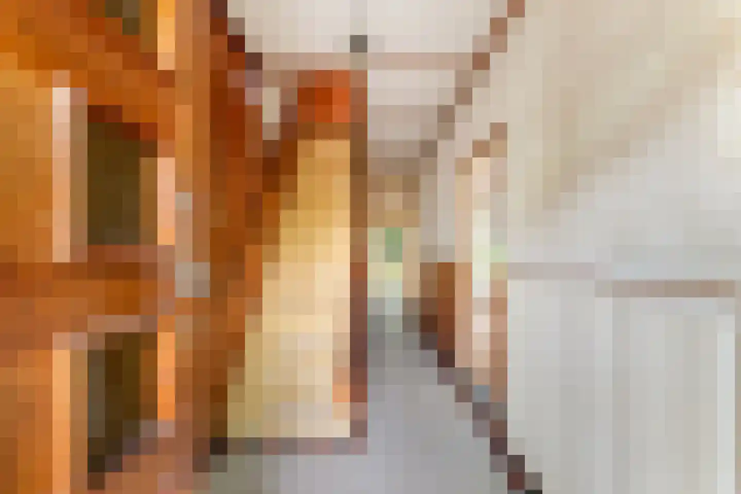 Driehoefijzersstraat 29 Zevenbergschen Hoek thumbnail 7