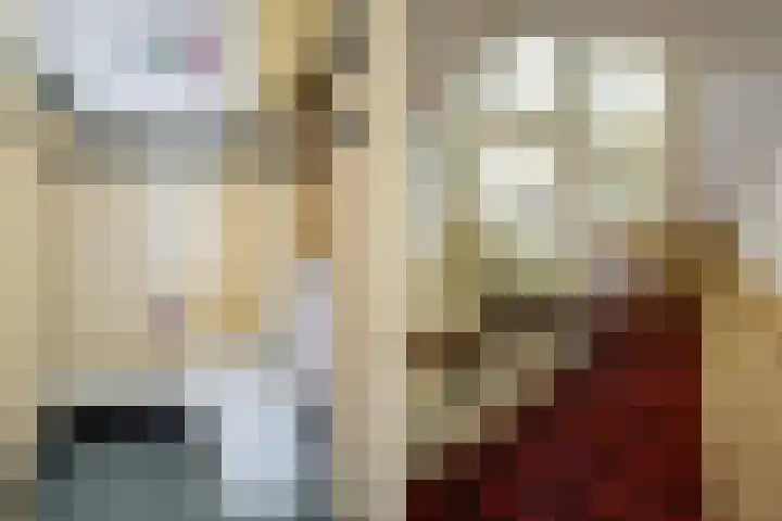 Driehoefijzersstraat 4 Breda thumbnail 12