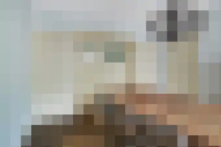 Driehoefijzersstraat 4 Breda thumbnail 19