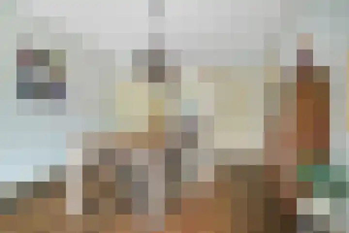 Driehoefijzersstraat 4 Breda thumbnail 20