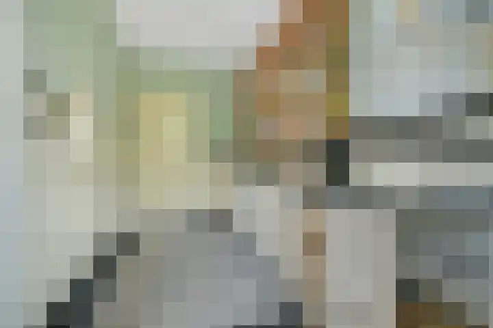 Driehoefijzersstraat 4 Breda thumbnail 26