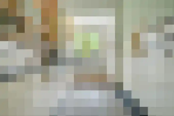 Driehoefijzersstraat 4 Breda thumbnail 28