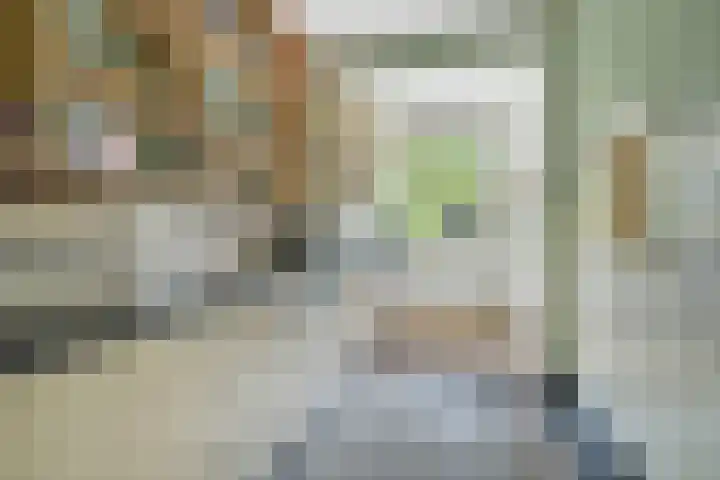 Driehoefijzersstraat 4 Breda thumbnail 29