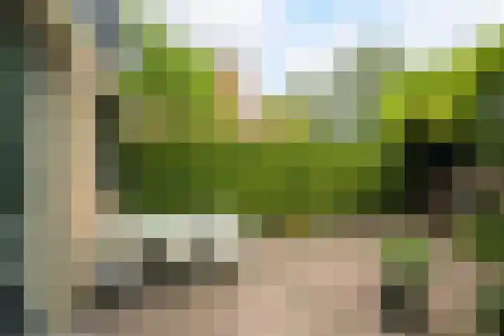 Driehoefijzersstraat 4 Breda thumbnail 30