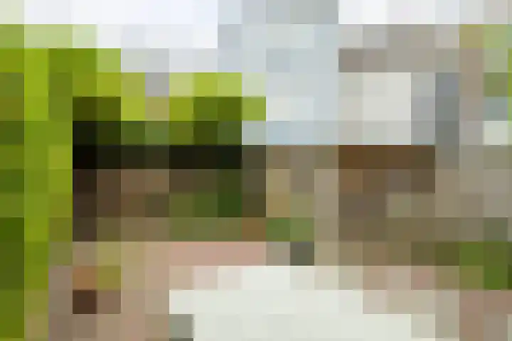 Driehoefijzersstraat 4 Breda thumbnail 31