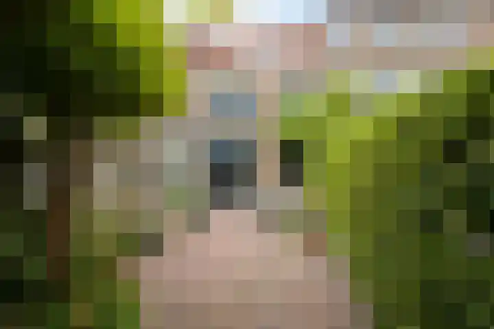 Driehoefijzersstraat 4 Breda thumbnail 32