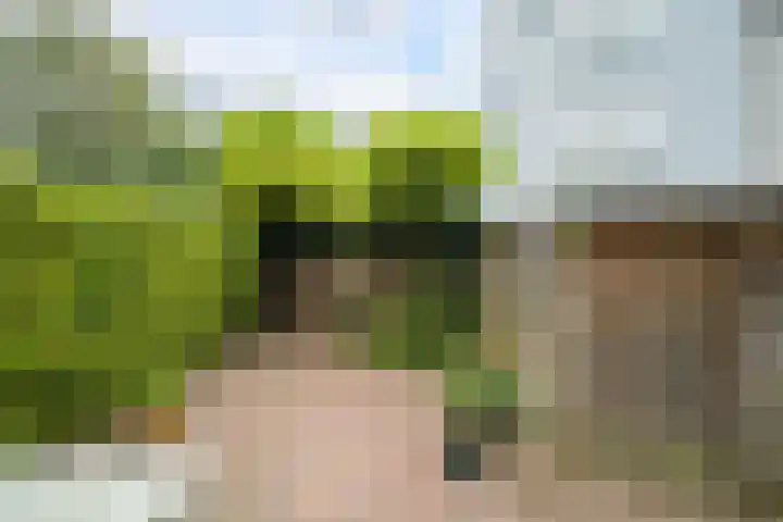 Driehoefijzersstraat 4 Breda thumbnail 33