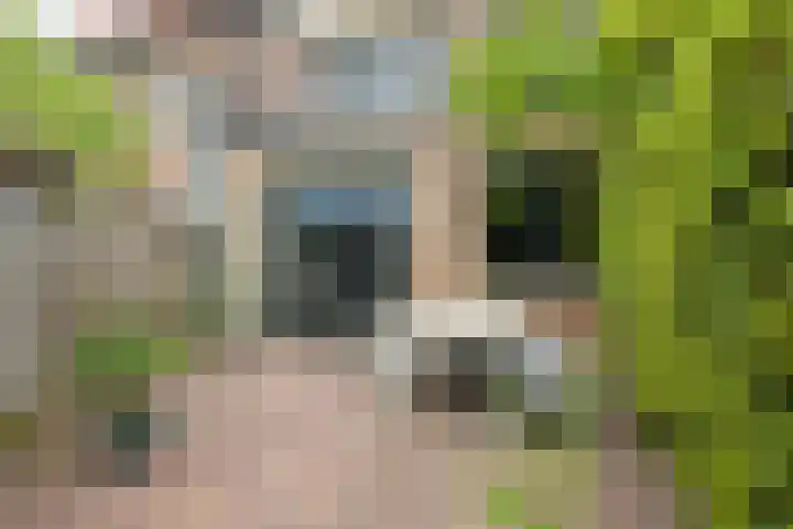 Driehoefijzersstraat 4 Breda thumbnail 35