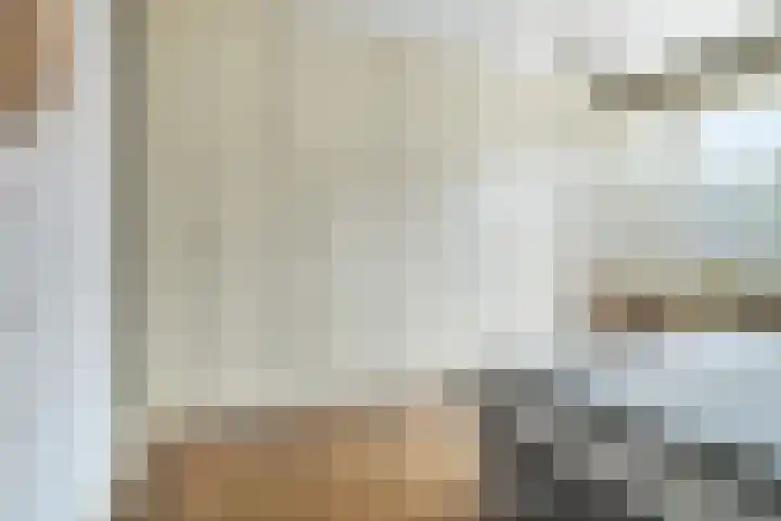 Driehoefijzersstraat 4 Breda thumbnail 37