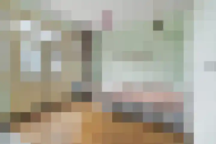 Driehoefijzersstraat 4 Breda thumbnail 41