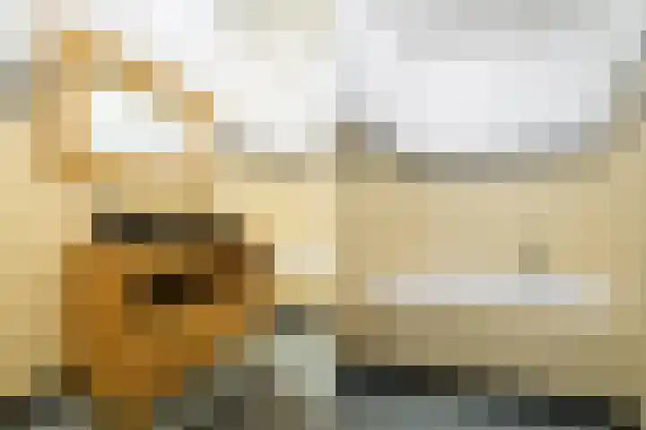 Driehoefijzersstraat 4 Breda thumbnail 52
