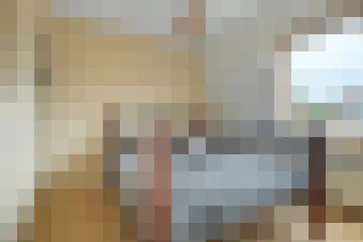 Driehoefijzersstraat 4 Breda thumbnail 63