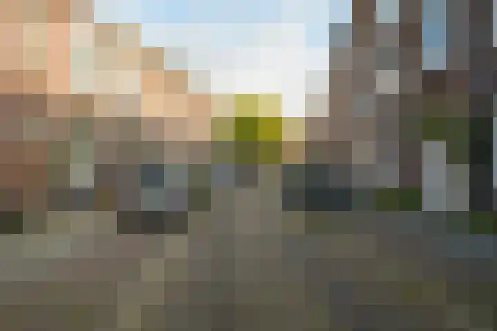 Driehoefijzersstraat 4 Breda thumbnail 69