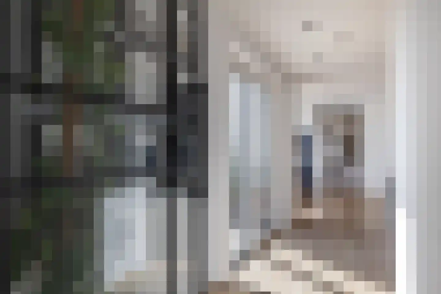 Driehoefijzersstraat 61 Zevenbergschen Hoek thumbnail 11