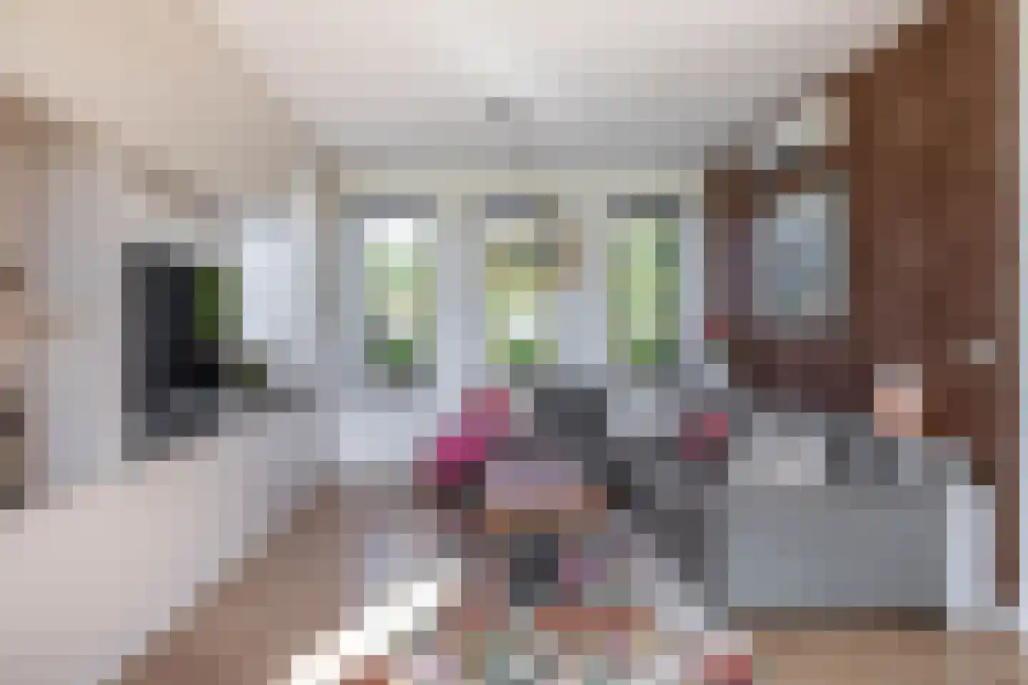 Driehoefijzersstraat 61 Zevenbergschen Hoek thumbnail 13