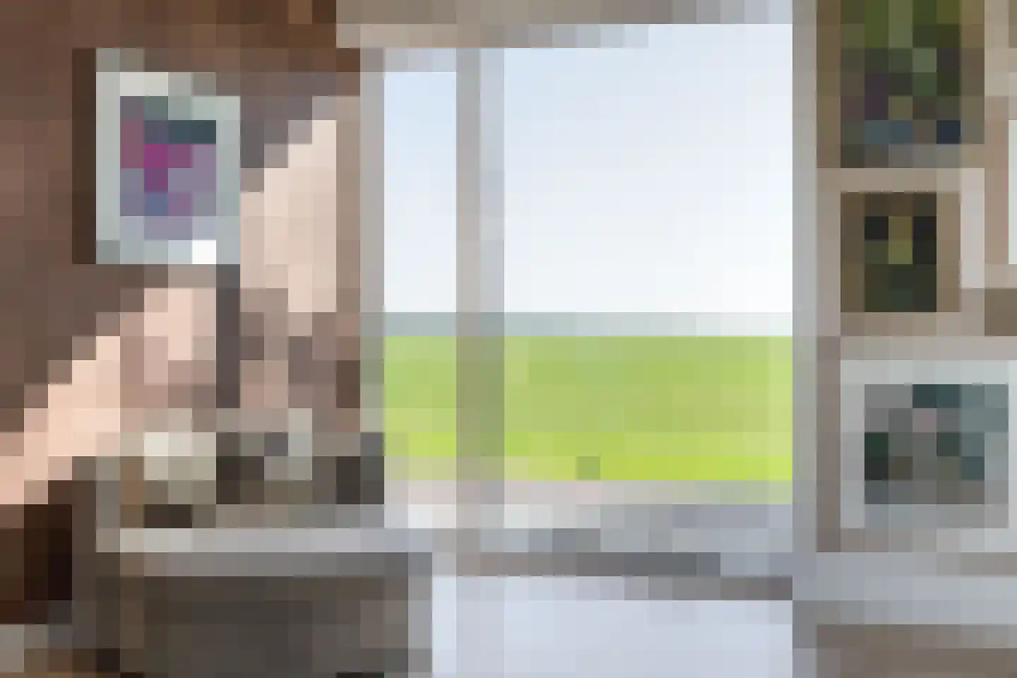 Driehoefijzersstraat 61 Zevenbergschen Hoek thumbnail 15