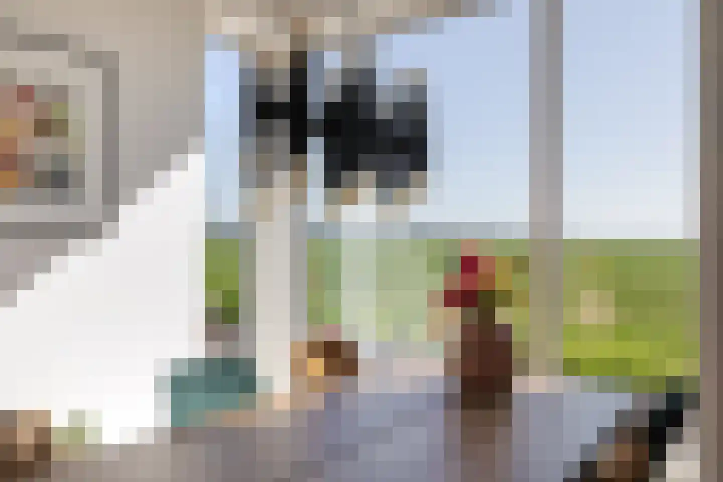 Driehoefijzersstraat 61 Zevenbergschen Hoek thumbnail 20