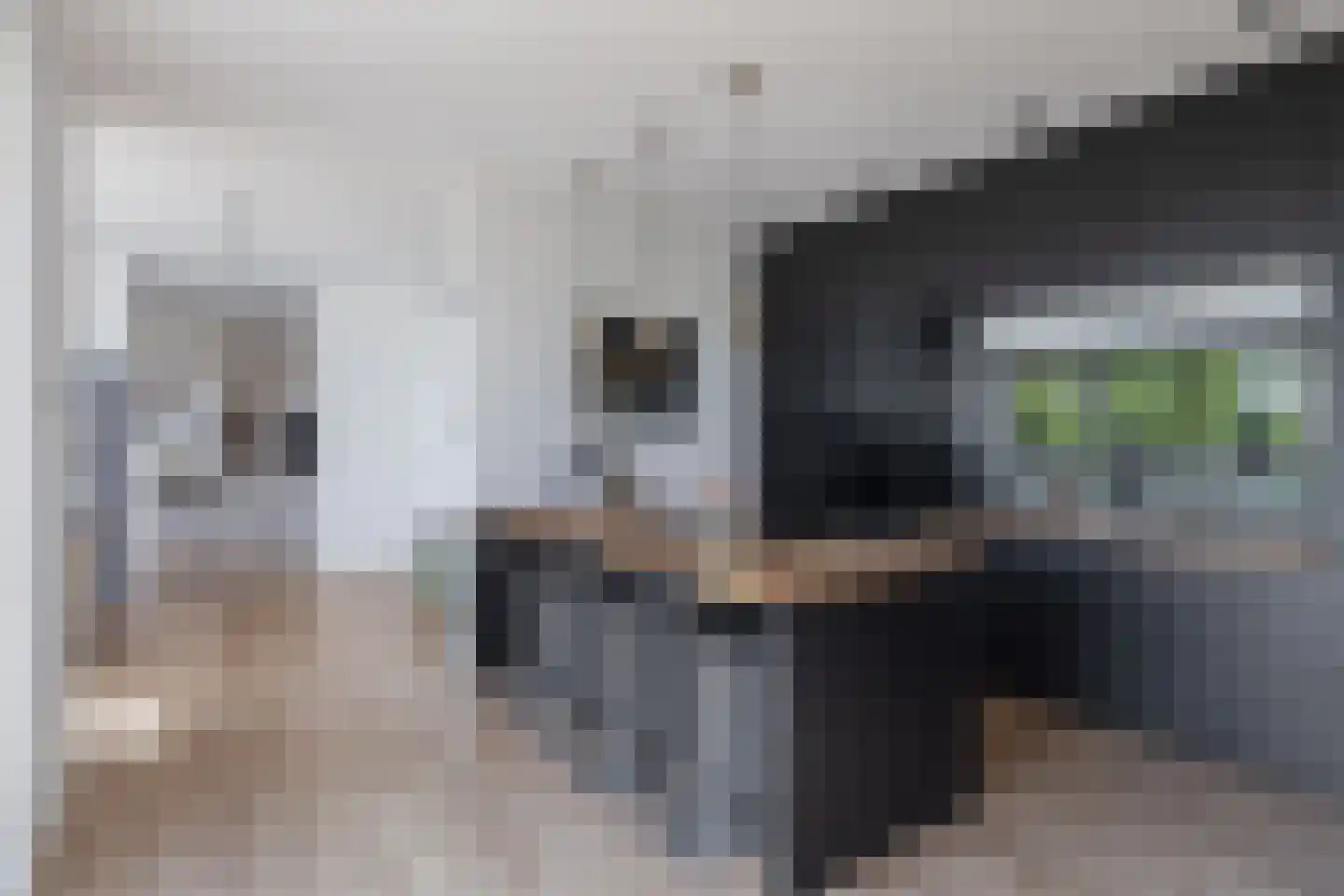 Driehoefijzersstraat 61 Zevenbergschen Hoek thumbnail 21
