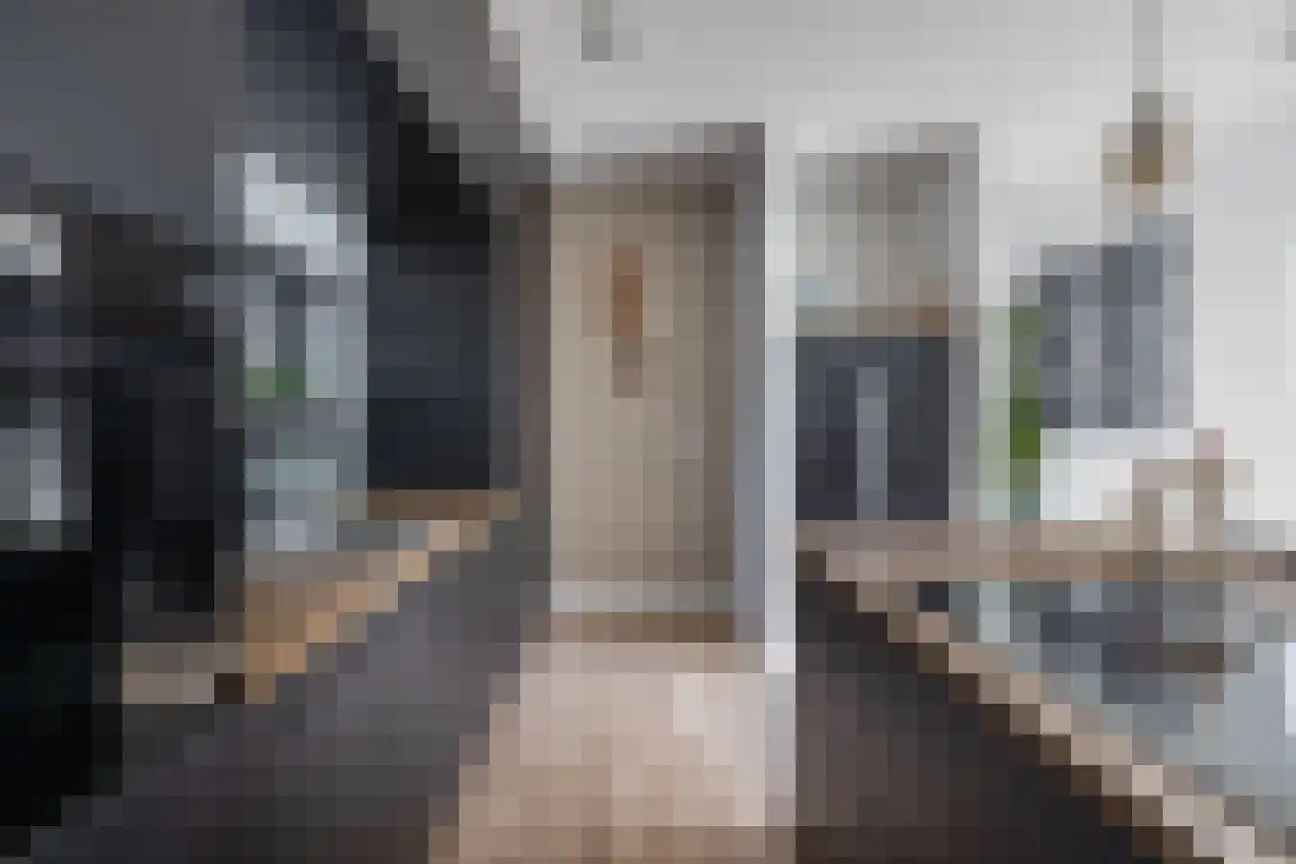 Driehoefijzersstraat 61 Zevenbergschen Hoek thumbnail 22