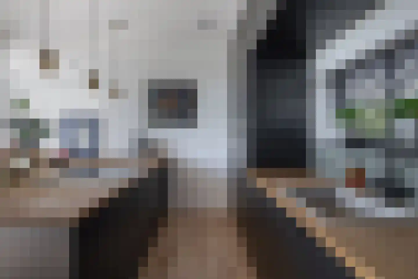 Driehoefijzersstraat 61 Zevenbergschen Hoek thumbnail 23