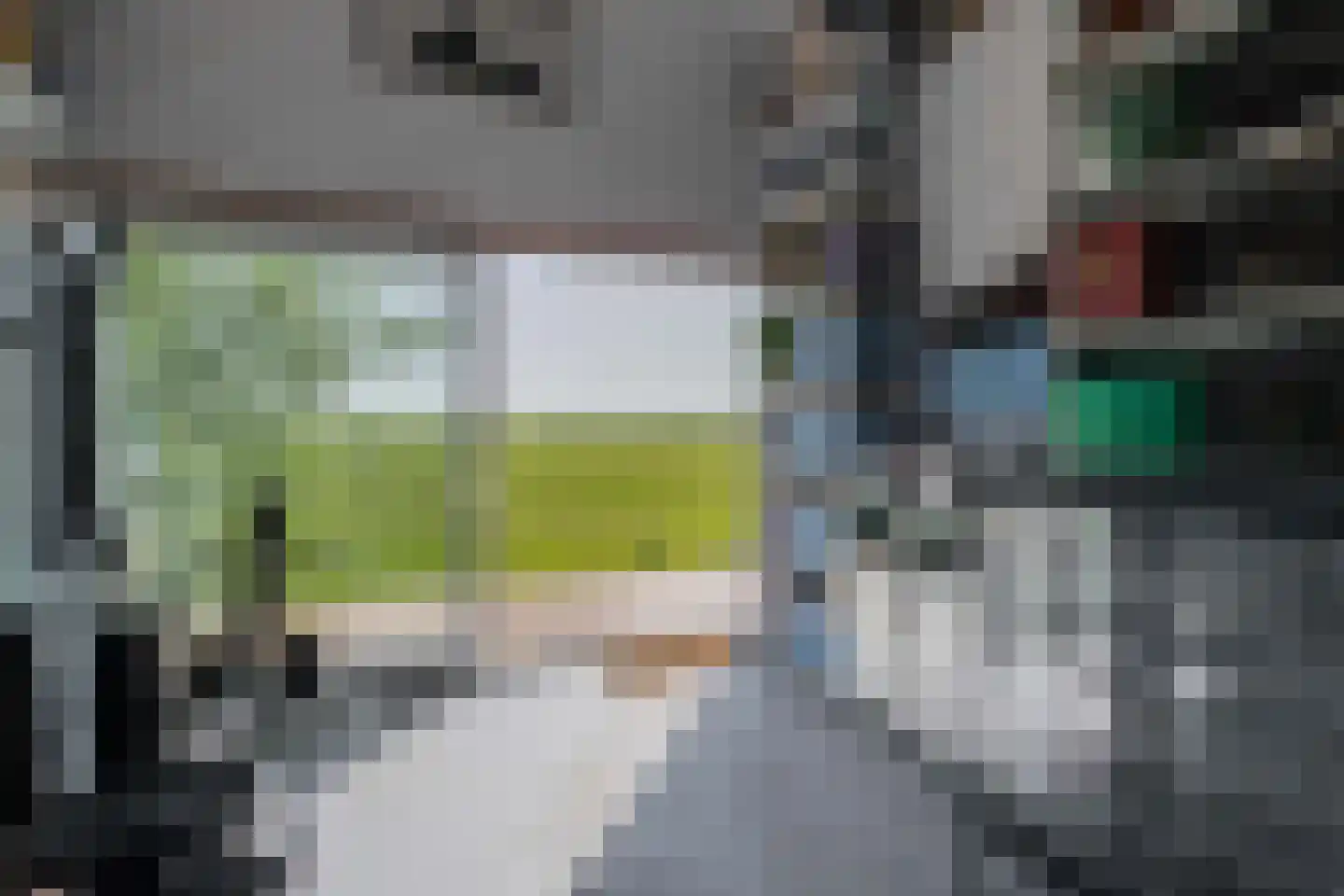 Driehoefijzersstraat 61 Zevenbergschen Hoek thumbnail 26