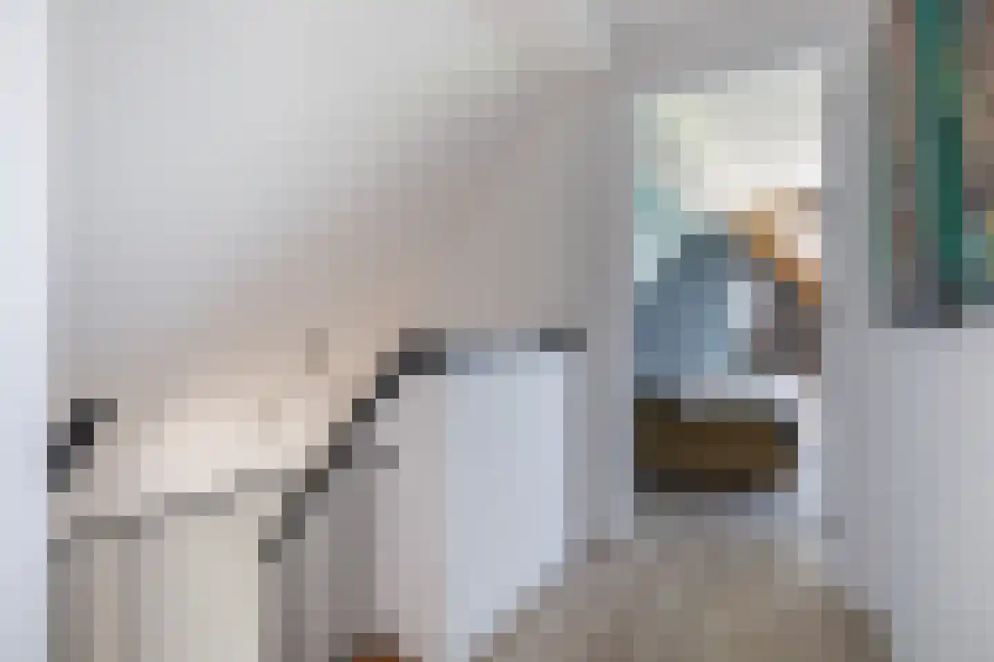 Driehoefijzersstraat 61 Zevenbergschen Hoek thumbnail 27