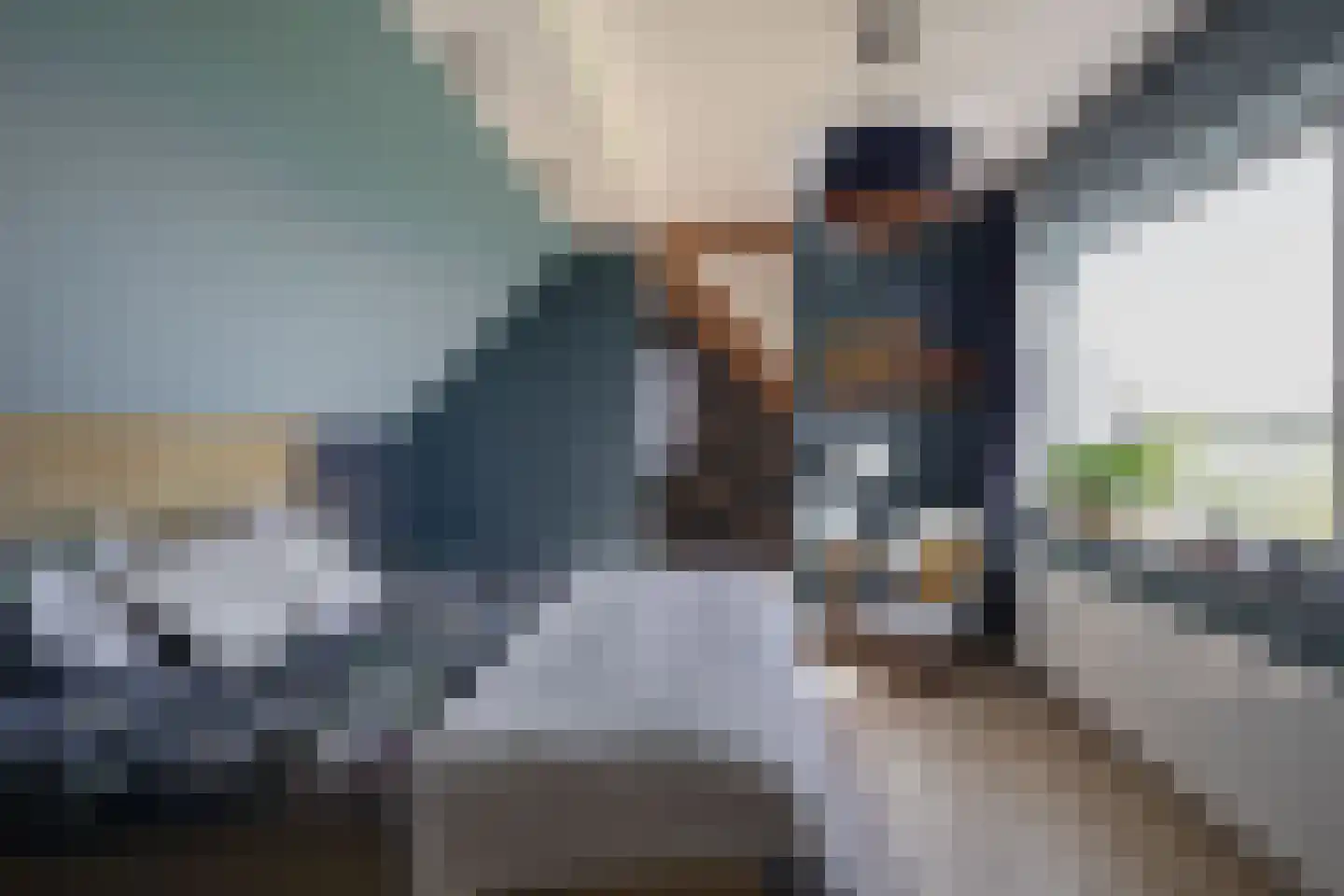 Driehoefijzersstraat 61 Zevenbergschen Hoek thumbnail 30