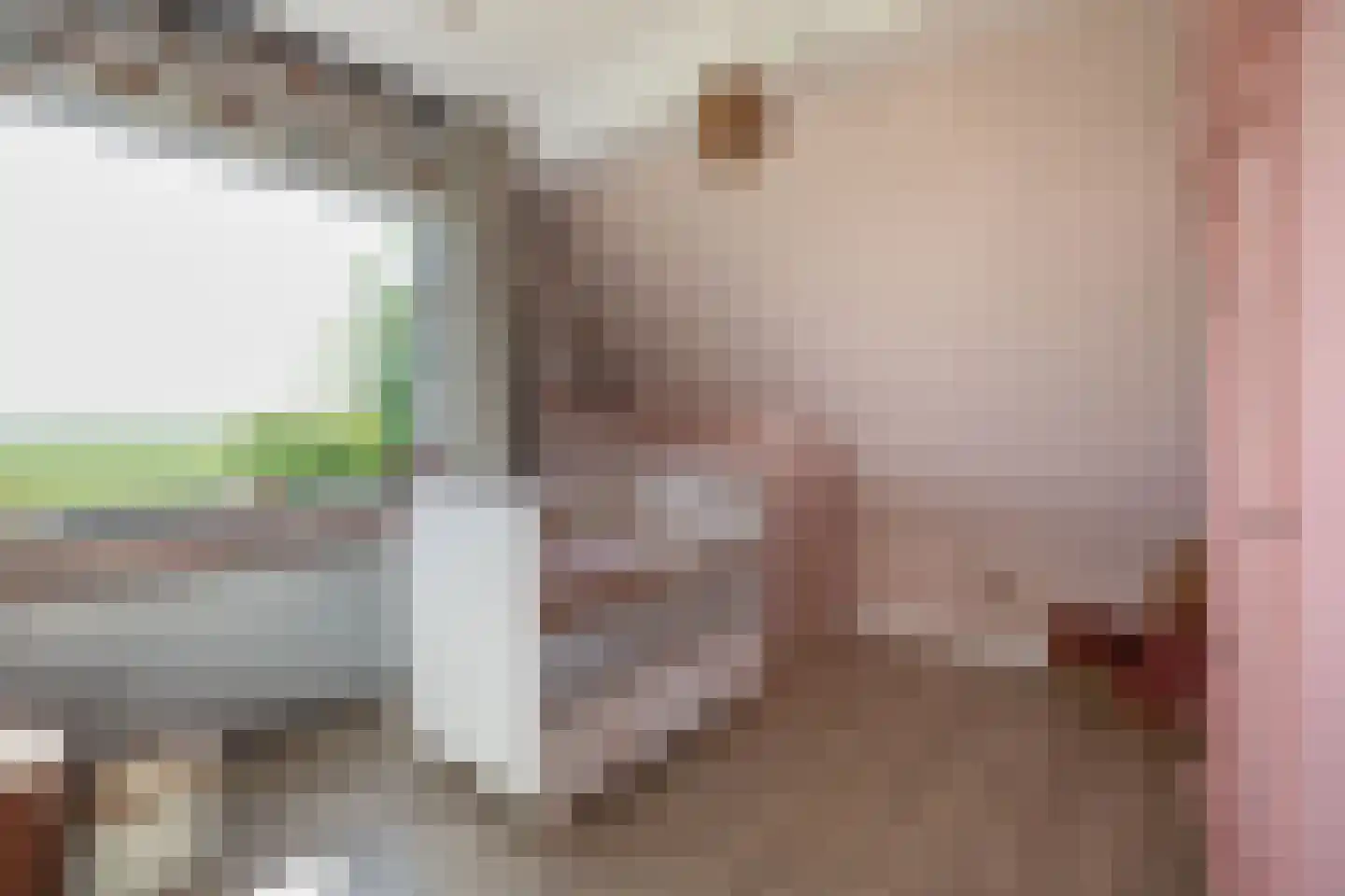 Driehoefijzersstraat 61 Zevenbergschen Hoek thumbnail 33