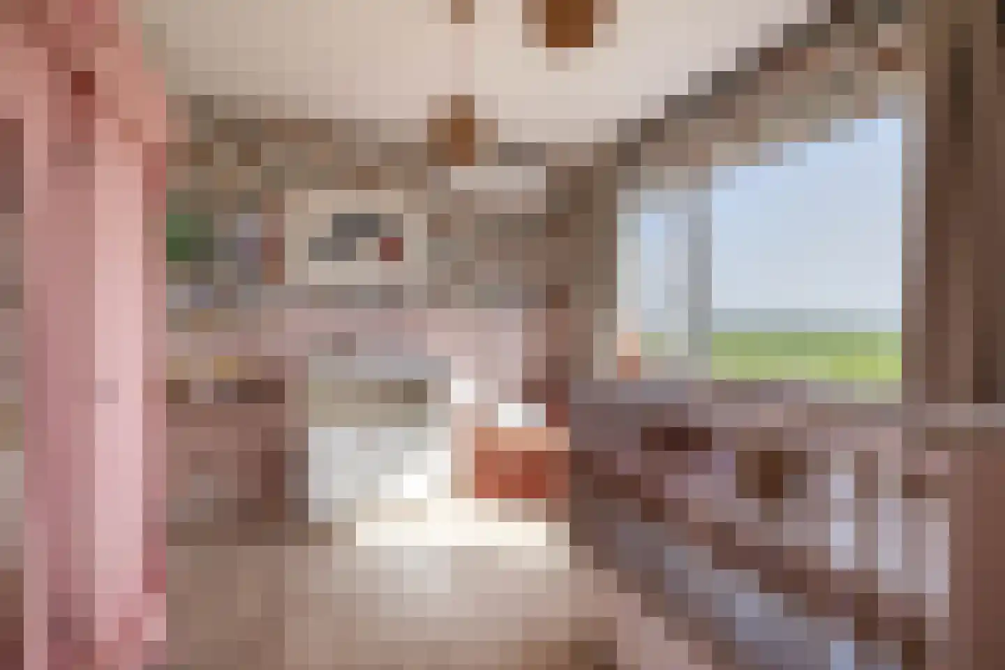 Driehoefijzersstraat 61 Zevenbergschen Hoek thumbnail 34