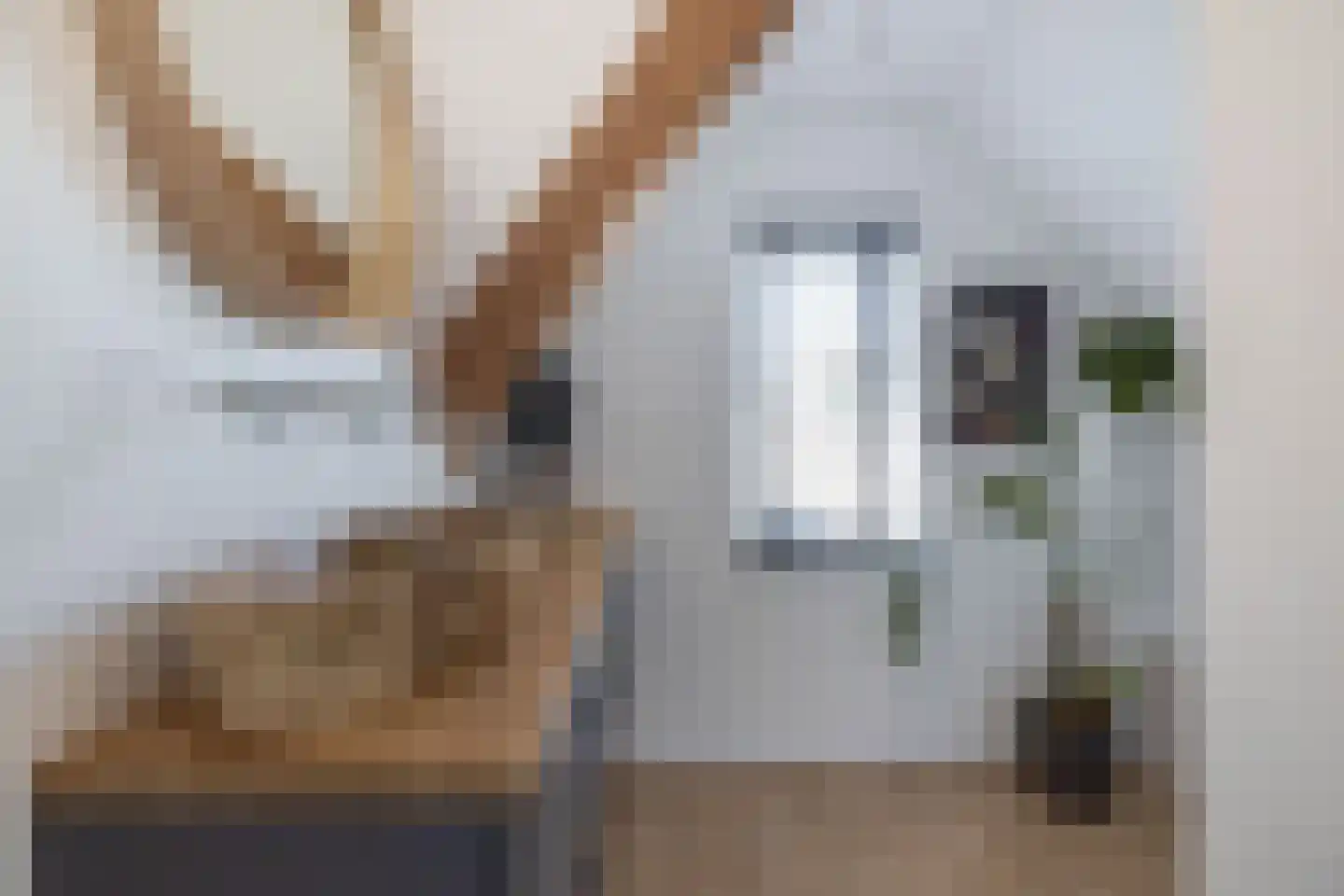Driehoefijzersstraat 61 Zevenbergschen Hoek thumbnail 36