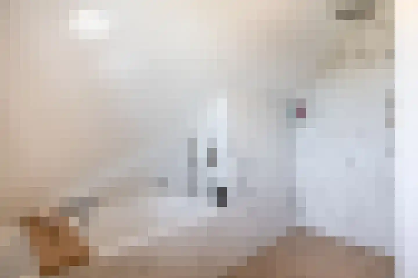 Driehoefijzersstraat 61 Zevenbergschen Hoek thumbnail 37