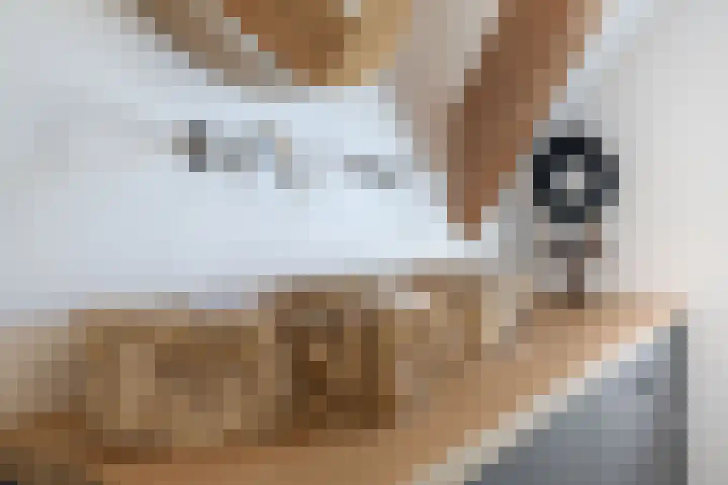 Driehoefijzersstraat 61 Zevenbergschen Hoek thumbnail 38