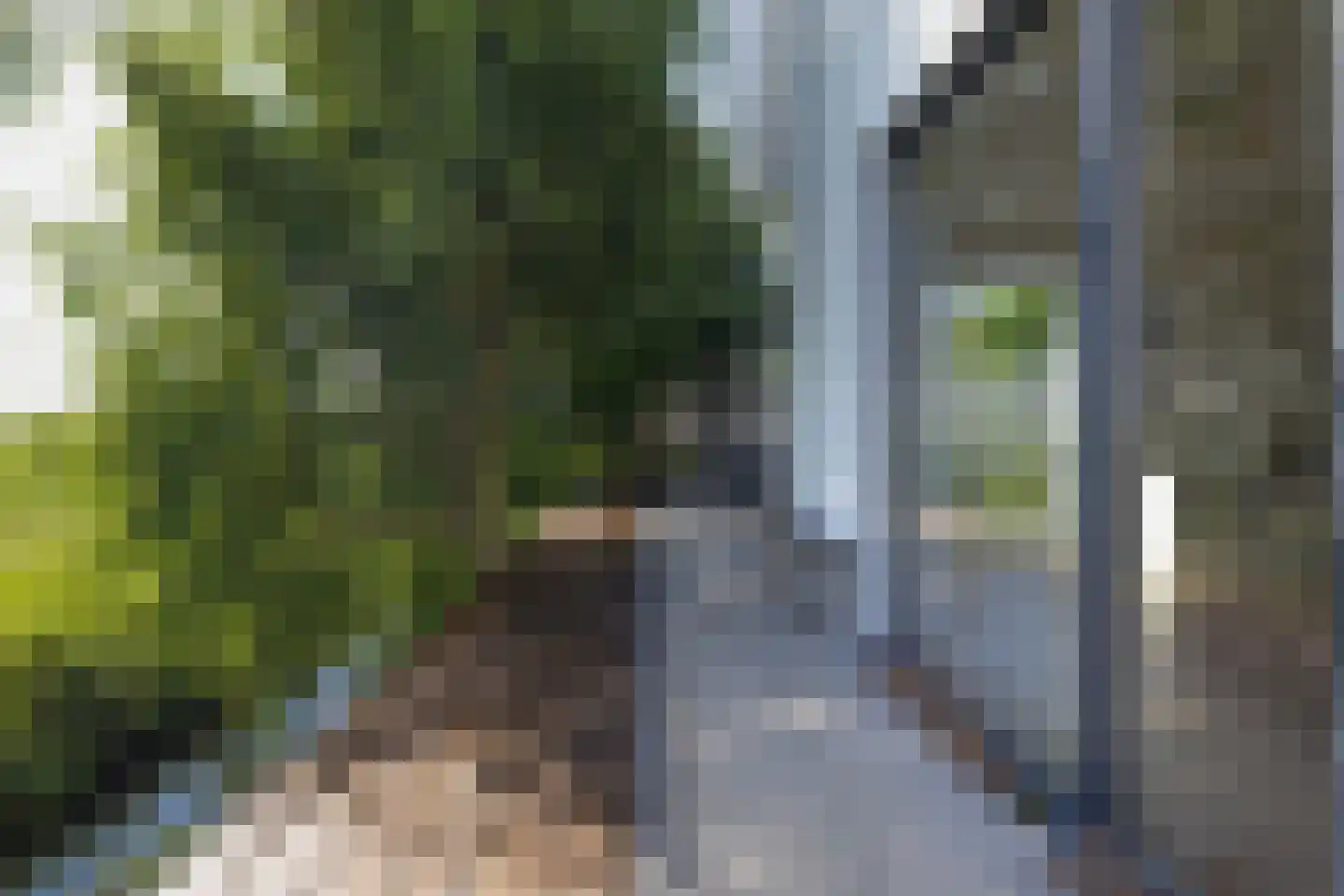 Driehoefijzersstraat 61 Zevenbergschen Hoek thumbnail 43