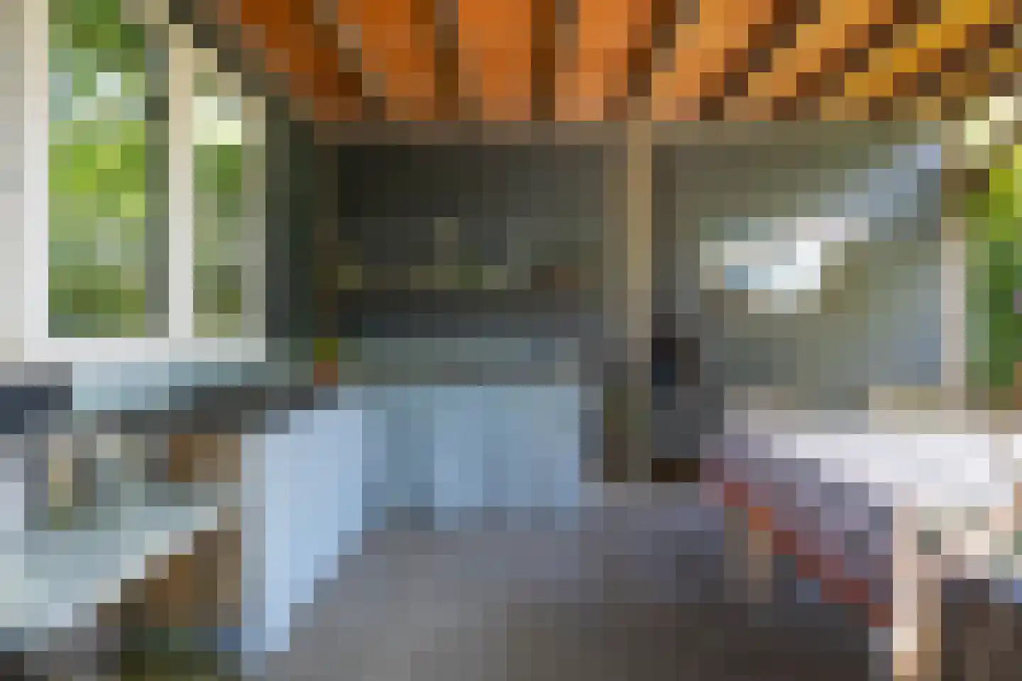 Driehoefijzersstraat 61 Zevenbergschen Hoek thumbnail 47