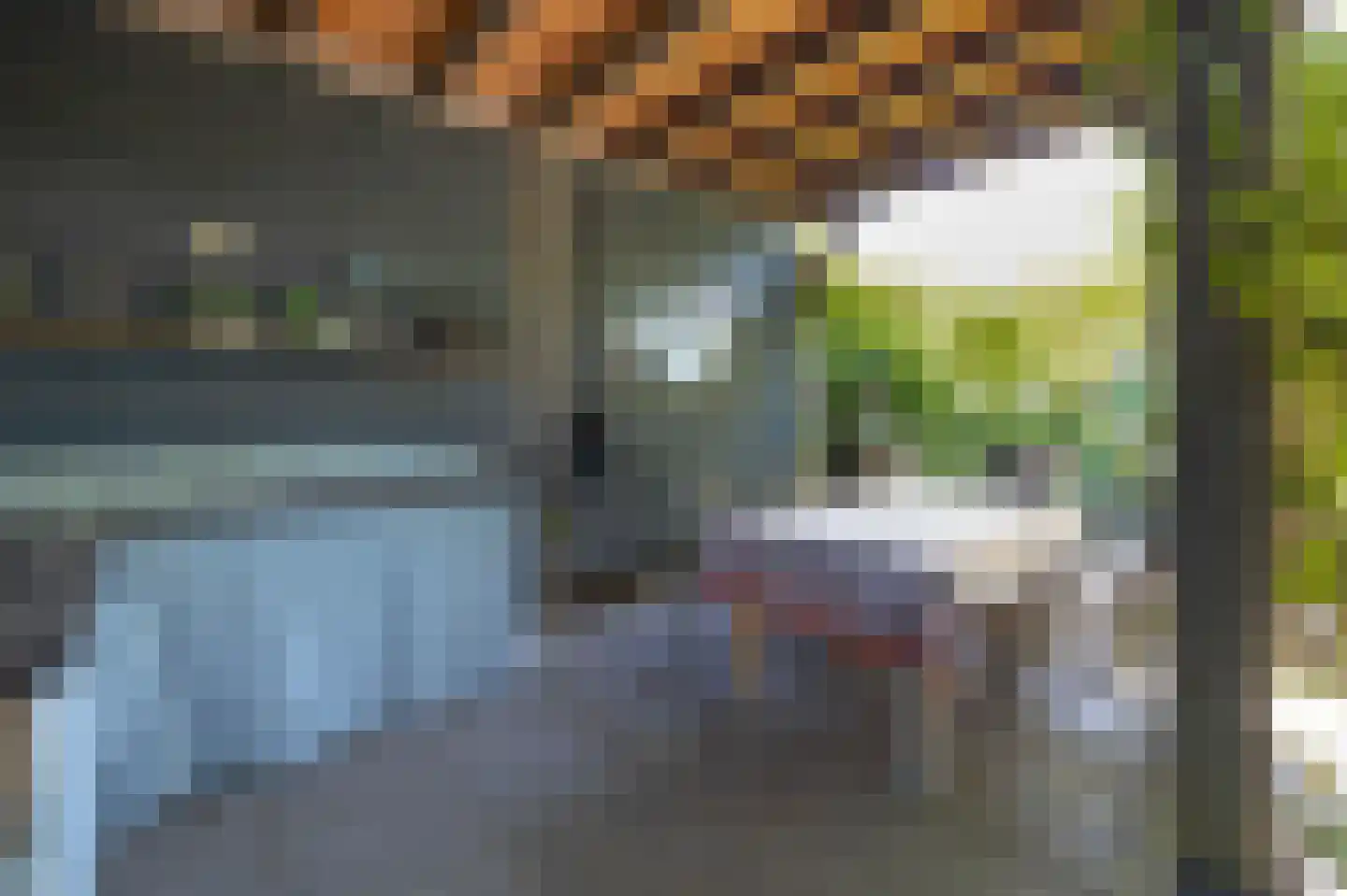 Driehoefijzersstraat 61 Zevenbergschen Hoek thumbnail 48