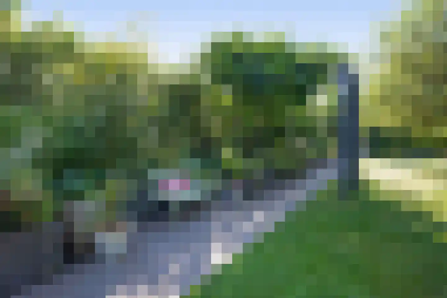 Driehoefijzersstraat 61 Zevenbergschen Hoek thumbnail 50