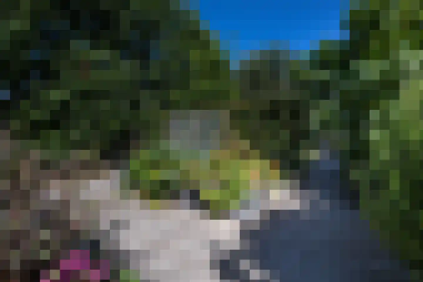 Driehoefijzersstraat 61 Zevenbergschen Hoek thumbnail 51