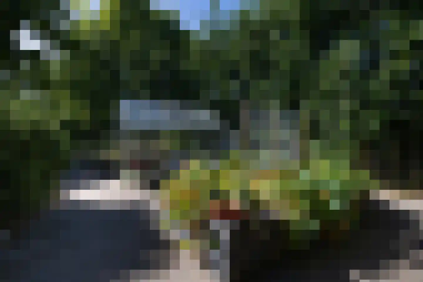 Driehoefijzersstraat 61 Zevenbergschen Hoek thumbnail 52