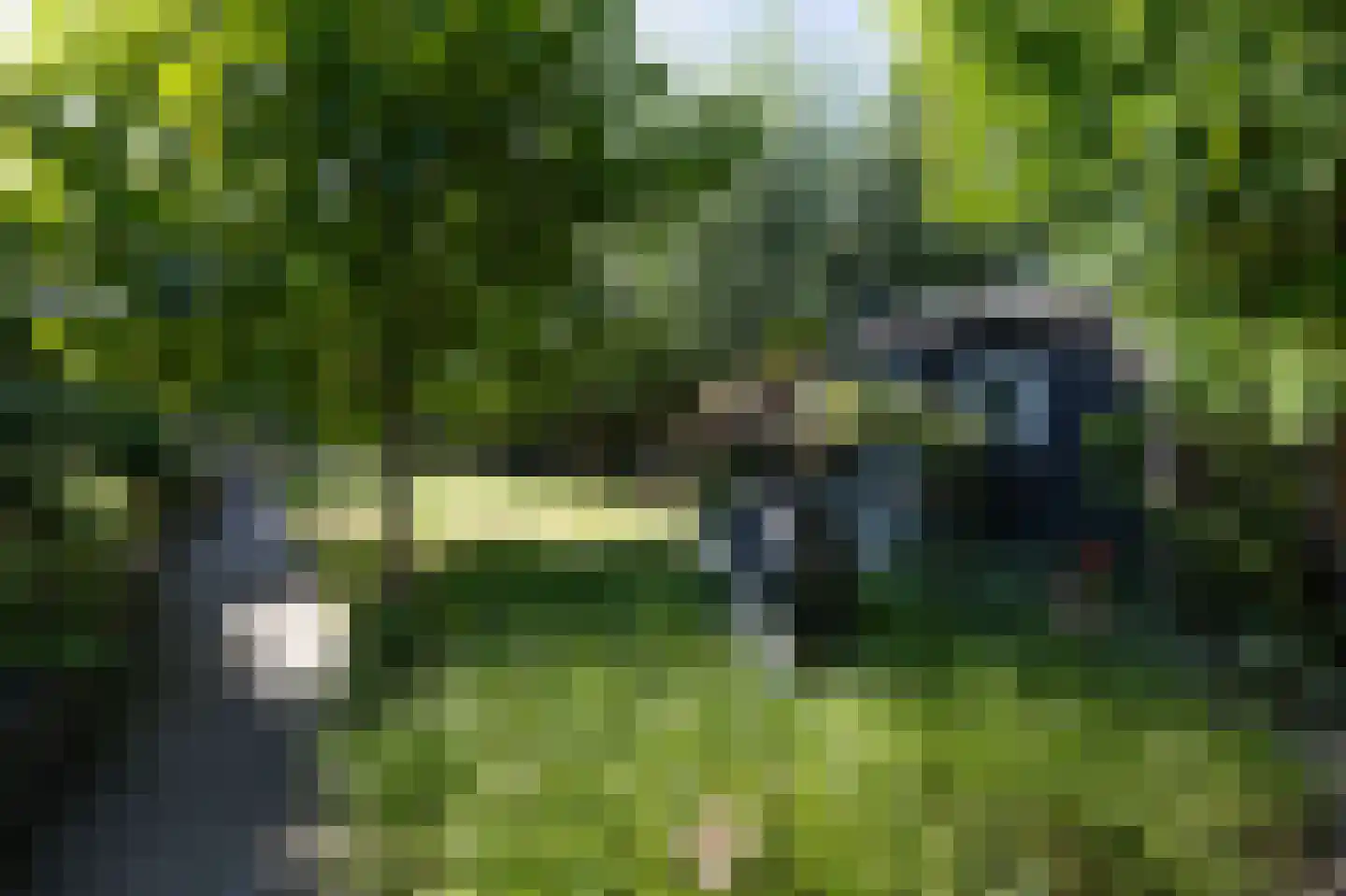 Driehoefijzersstraat 61 Zevenbergschen Hoek thumbnail 53