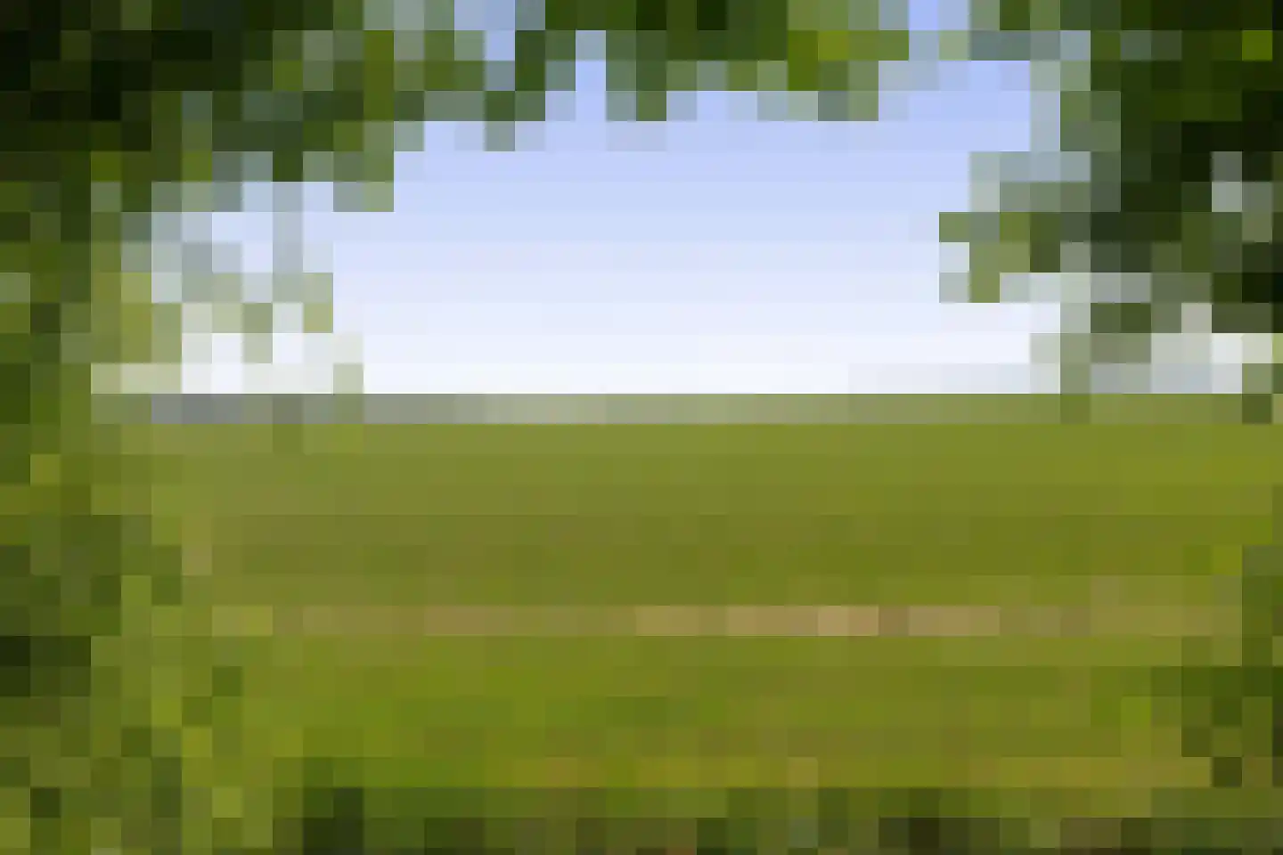 Driehoefijzersstraat 61 Zevenbergschen Hoek thumbnail 57