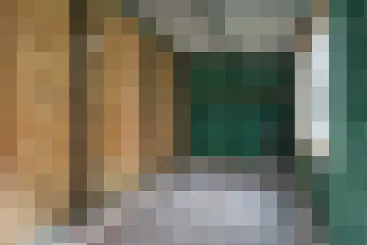Driehoefijzersstraat 9 Breda thumbnail 21