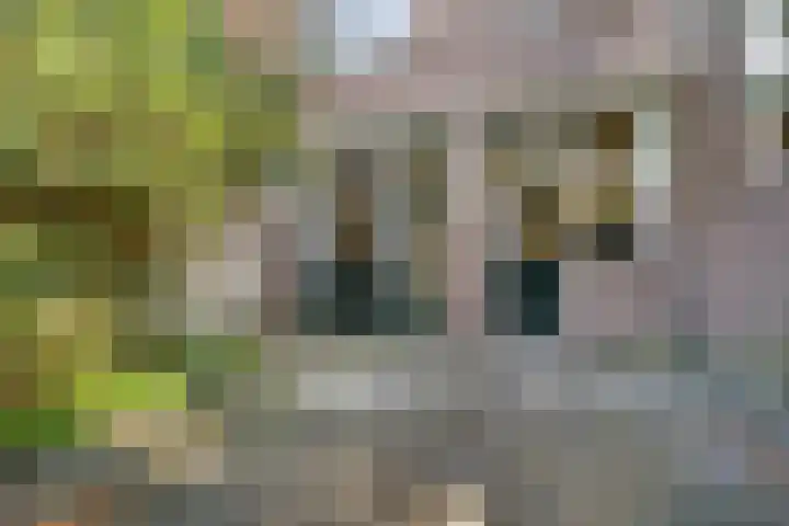 Driehoefijzersstraat 9 Breda thumbnail 22