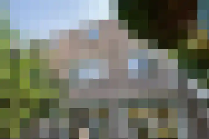 Driehoefijzersstraat 9 Breda thumbnail 23