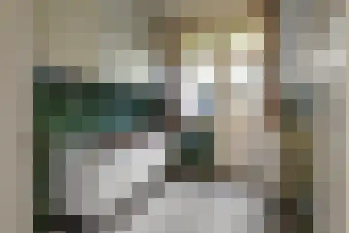 Driehoefijzersstraat 9 Breda thumbnail 25